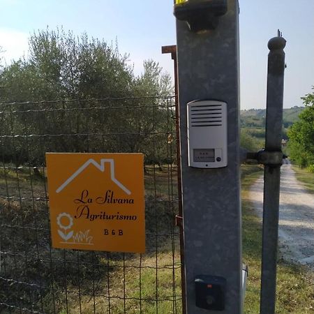 Agriturismo La Silvana B&B Coriano Esterno foto